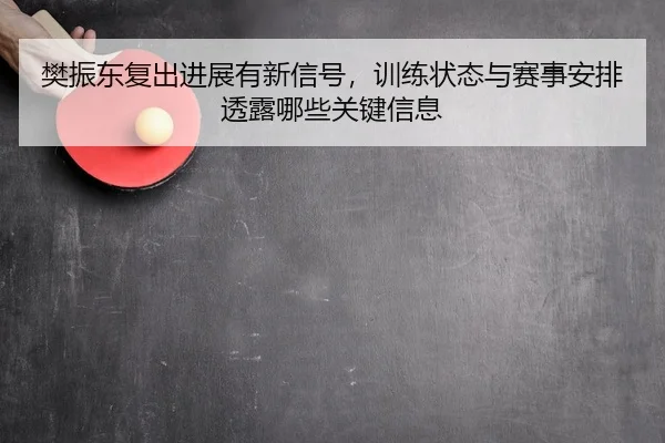 樊振东复出进展有新信号，训练状态与赛事安排透露哪些关键信息